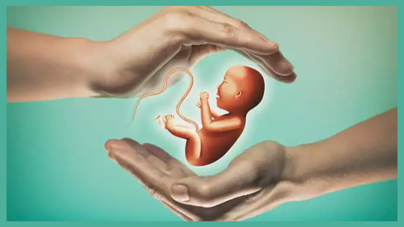 IUI Fertility Treatment Used by Tim Walz