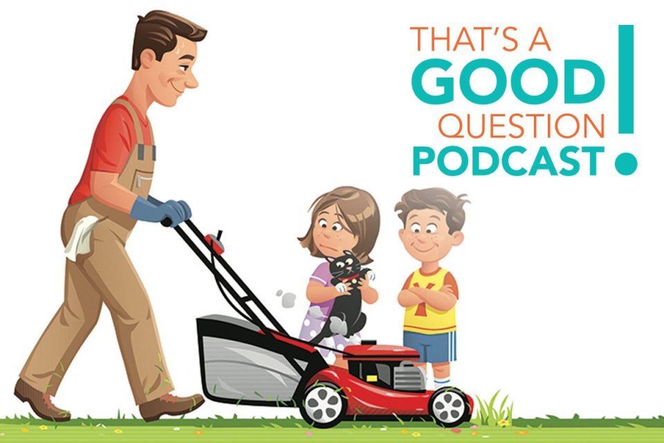 Podcast Episode 9: Am I a "Lawnmower Parent"?