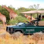 The Ultimate Travel Guide to the Good Life