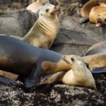 10 Unique Vacation Ideas Teens Will Enjoy