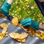 Spring Cleaning Tasks for Your Home