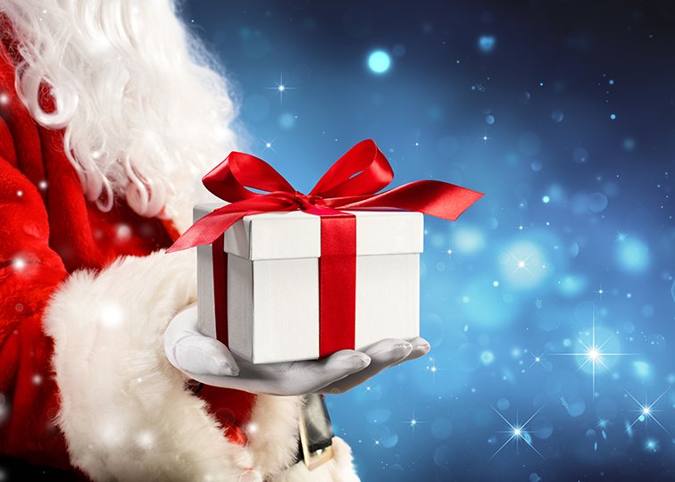 Gift Guide for the Holidays