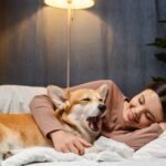 Sweet Dreams: A Guide to Helping Your Kids Sleep Well