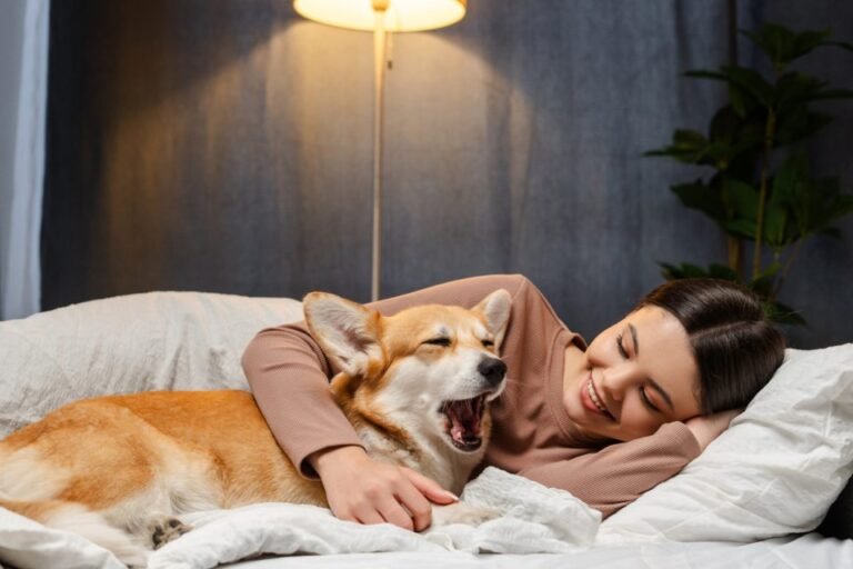 Sweet Dreams: A Guide to Helping Your Kids Sleep Well