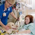 The Therapeutic Benefits of Pets