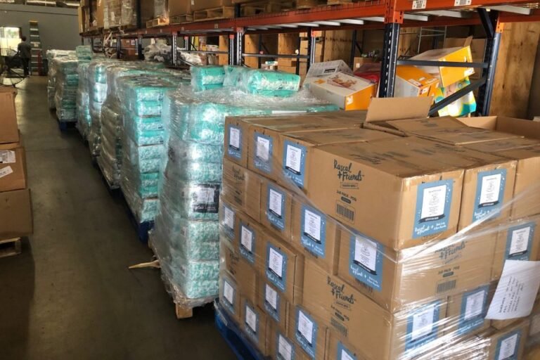 Rascal + Friends Partners with Blake Lively and Ryan Reynolds for Charity