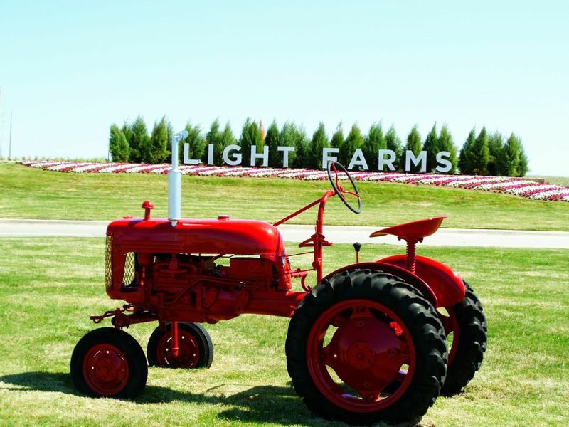 Focus on Light Farms