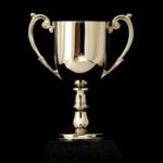 What is the VIP Award?